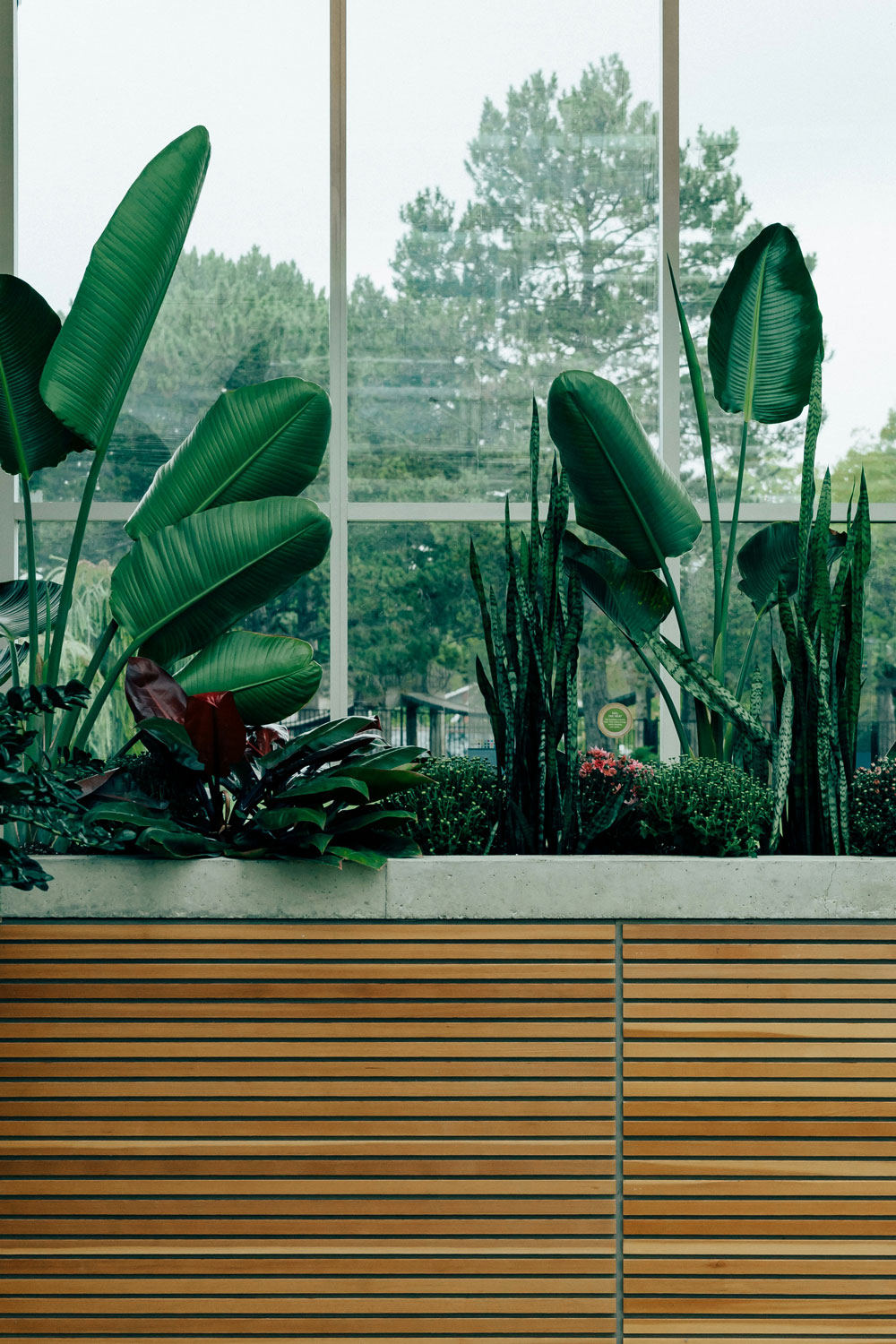 Escandi biophilic office design